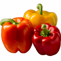 Bell-Pepper